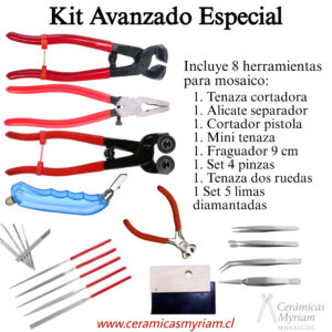 N°4: Kit avanzado ESPECIAL 8 HERRAMIENTAS