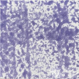 Azulejo cod 523
