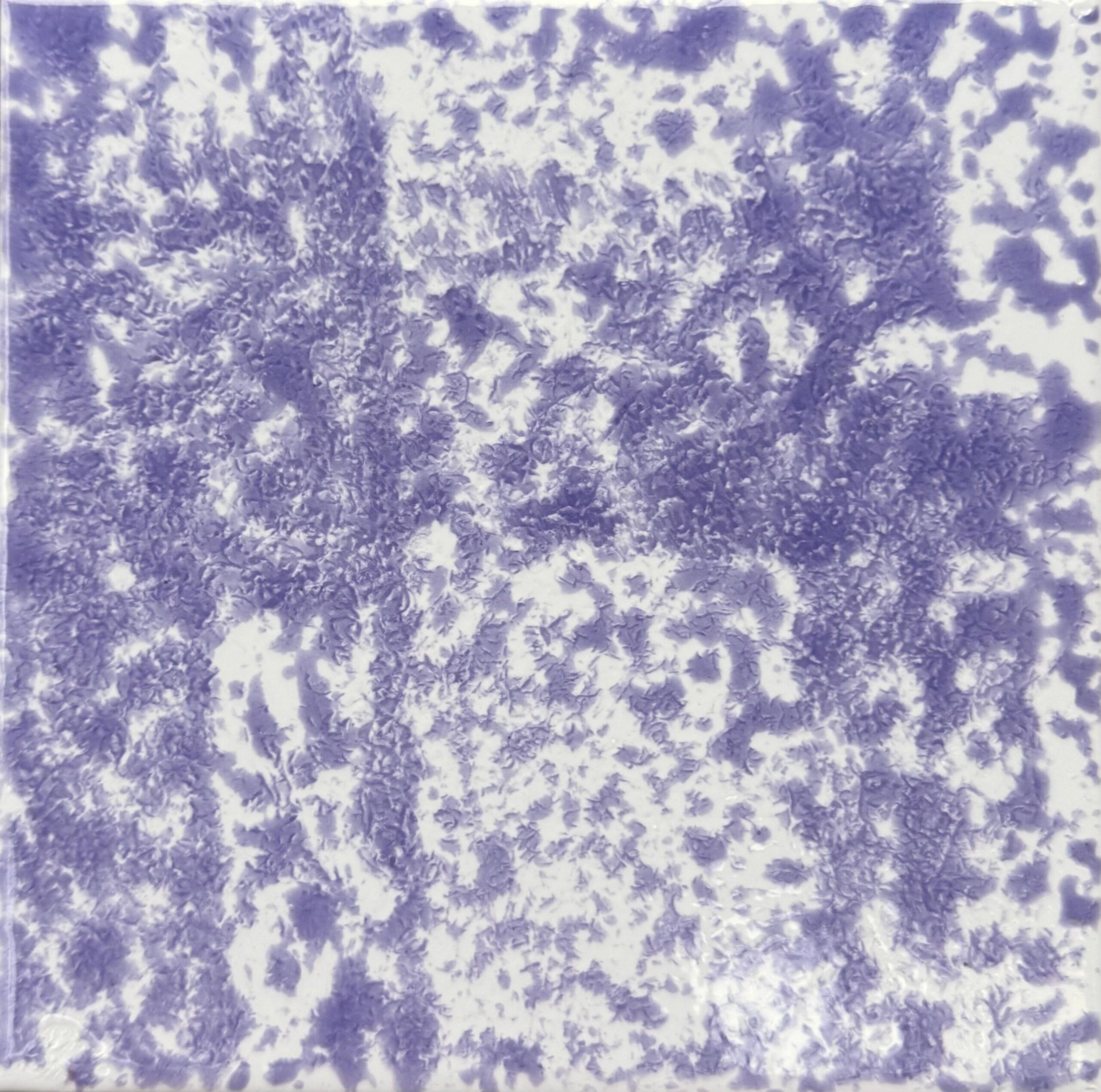 Azulejo cod 523