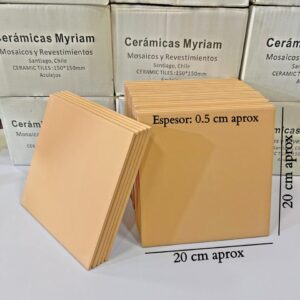 Caja BIZCOCHO es sin esmalte.20 cm X 20 cm (caja de 0.99 mt2)