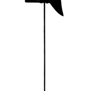 Tutor colibri