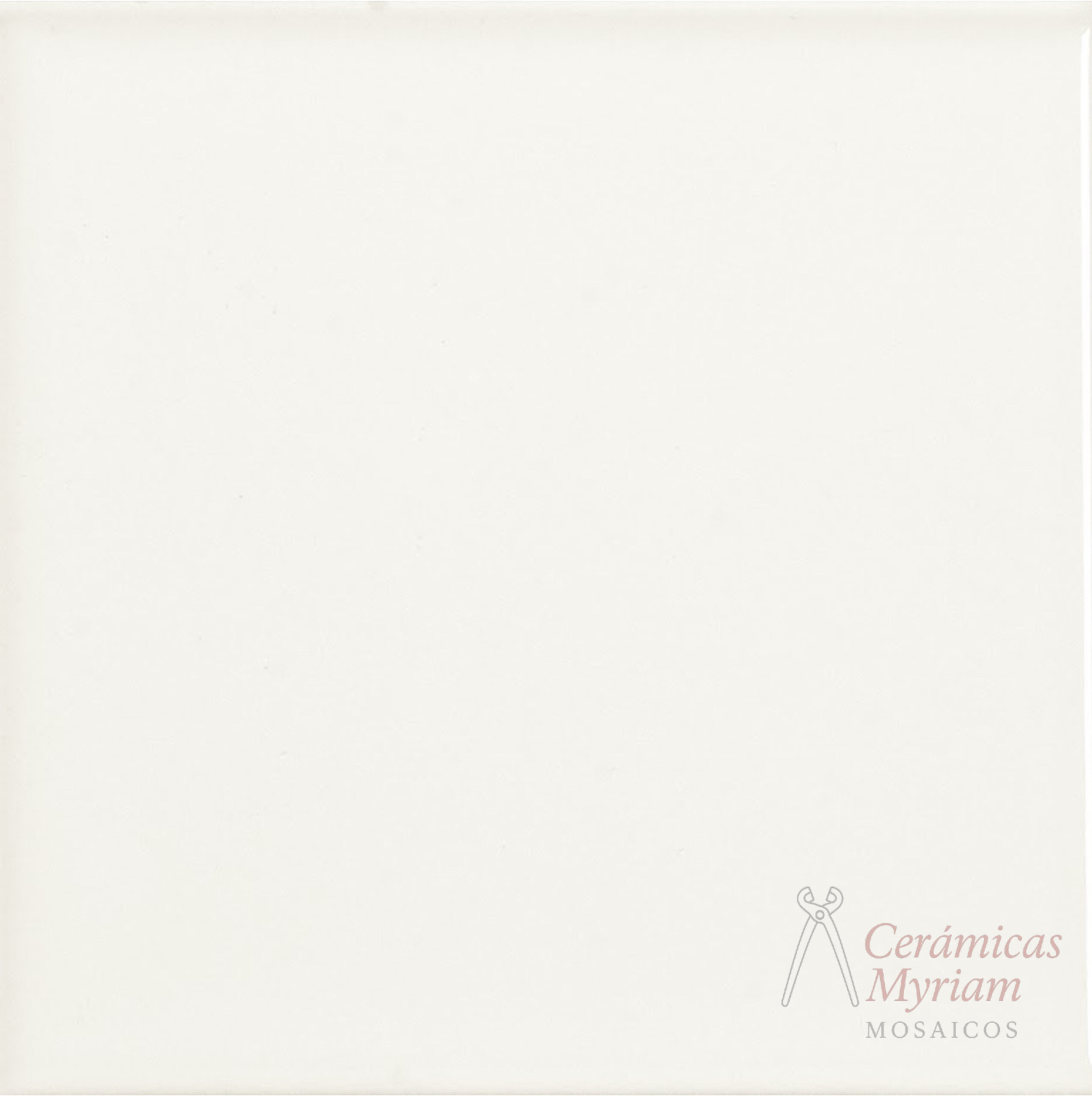Azulejo Blanco 20x20