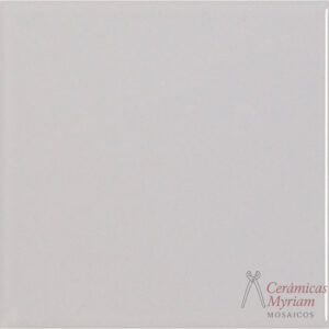 Azulejo Gris 20x20