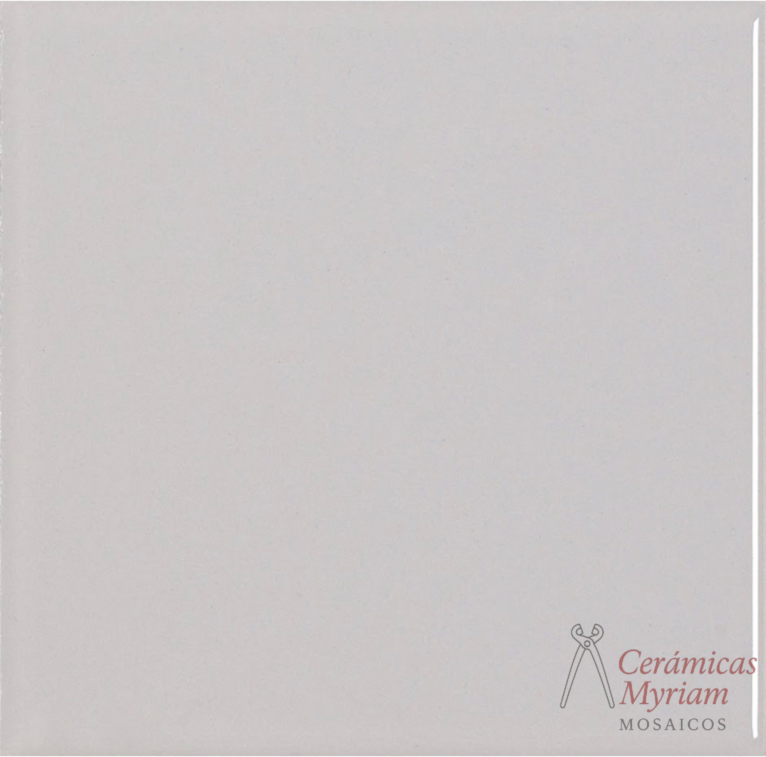 Azulejo Gris 20x20
