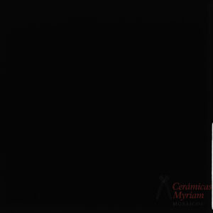 Azulejo Negro 20x20