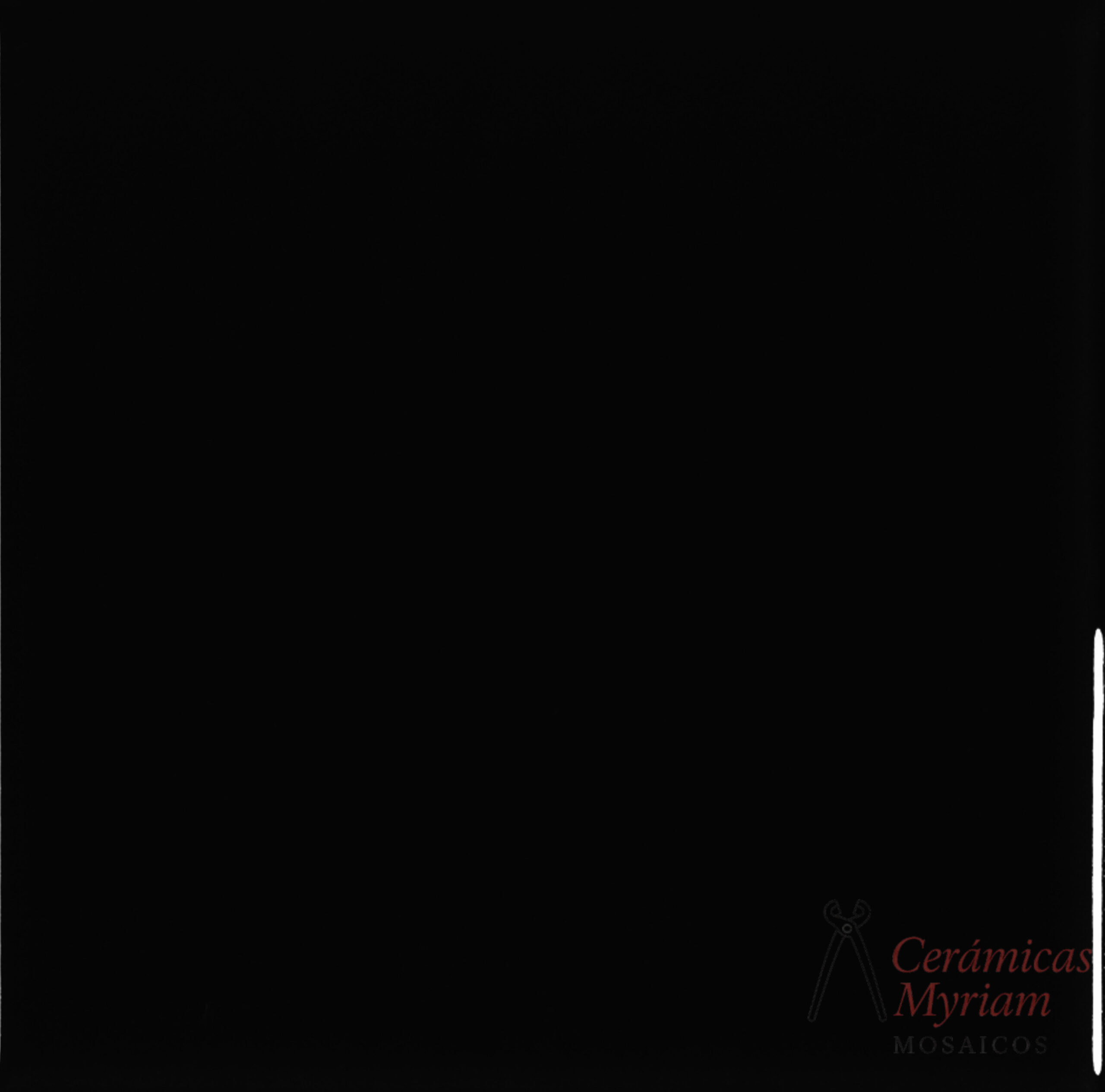 Azulejo Negro 20x20
